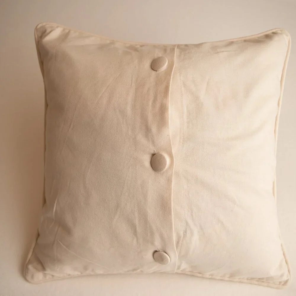 18x18 inch Pottery Barn Pillow Sham